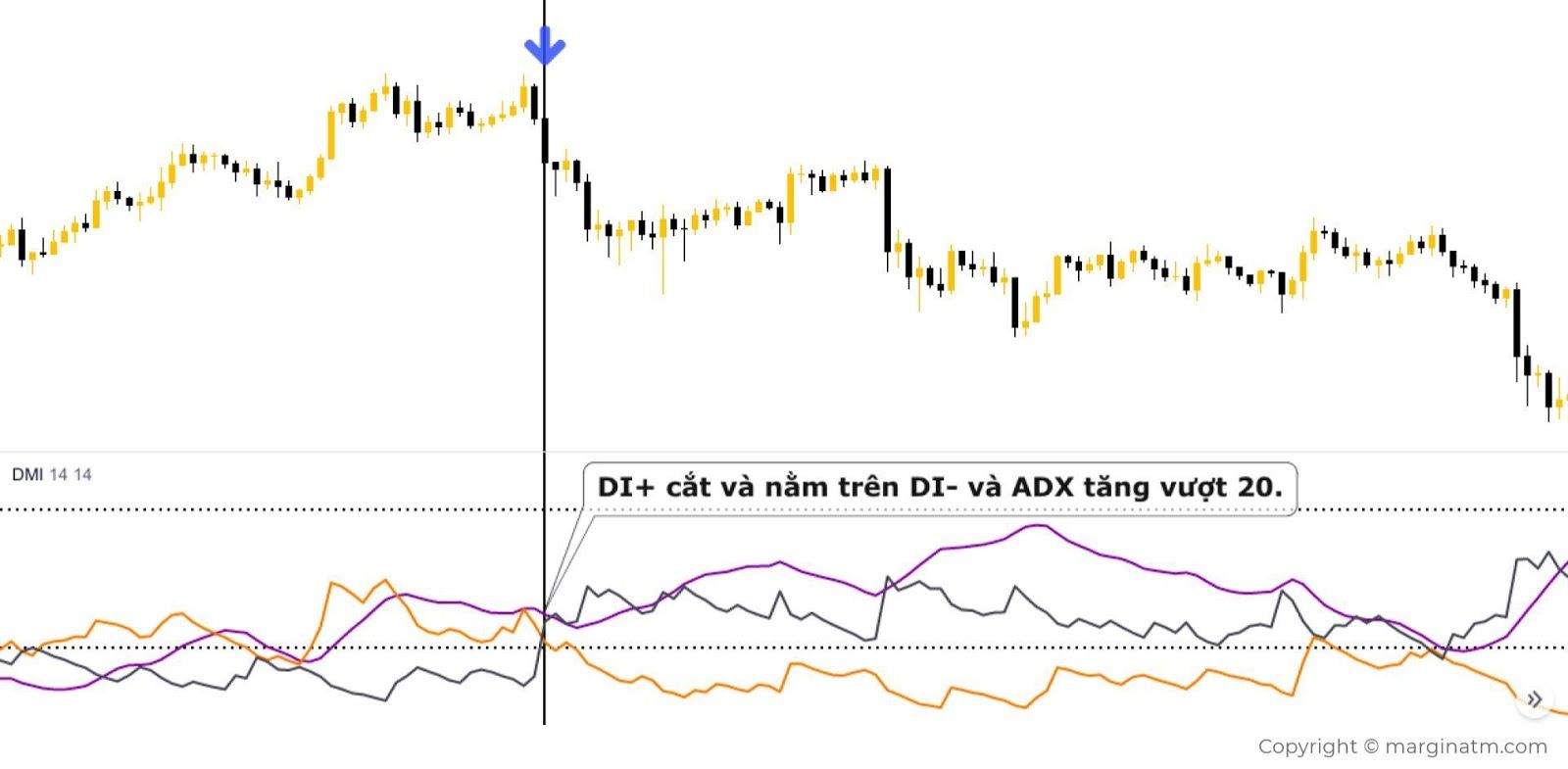 dmi-hinh1