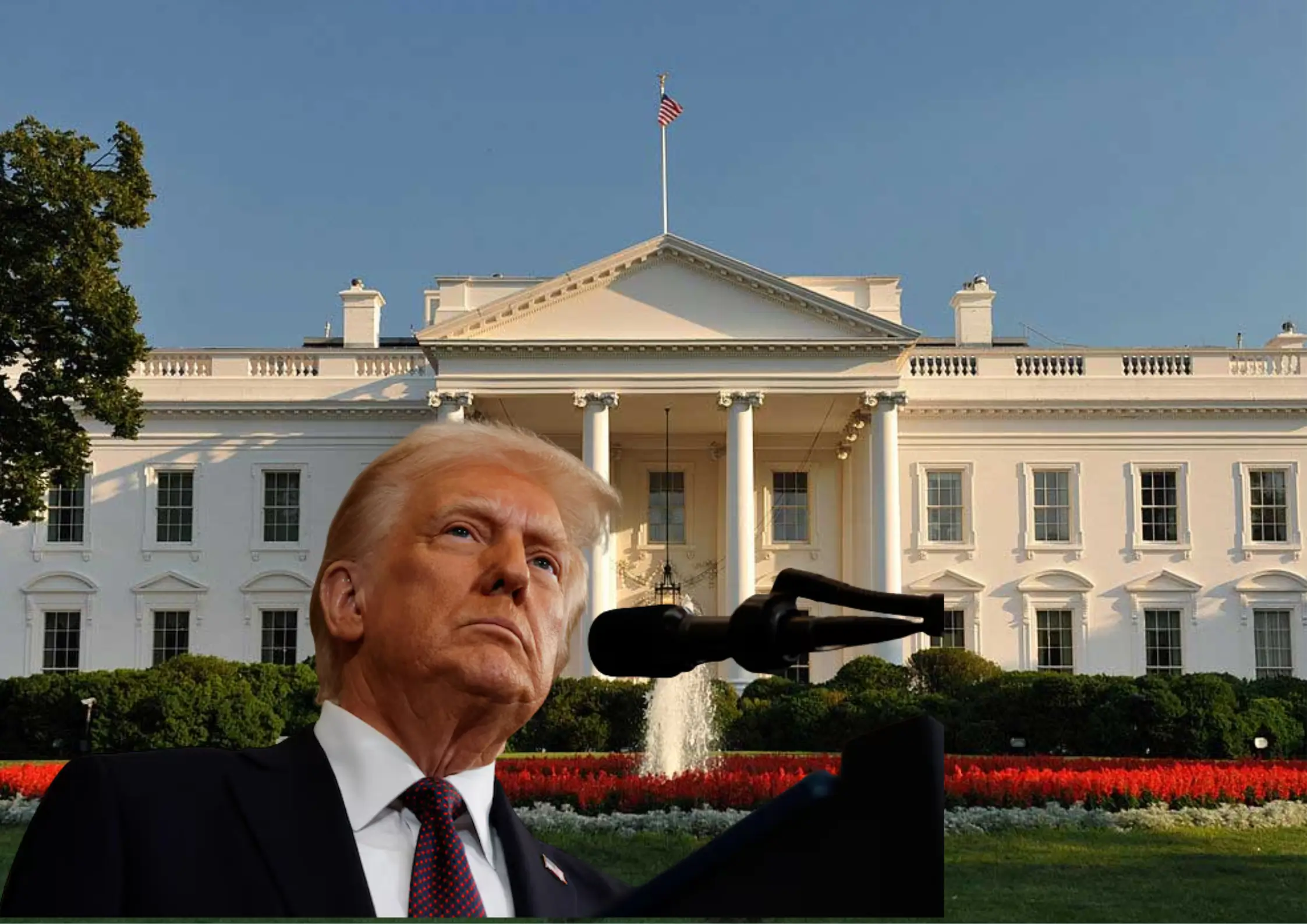 Mỹ chuẩn bị ban hành sắc lệnh làm rõ thông tin sai lệch về thuế quan vàng thỏi