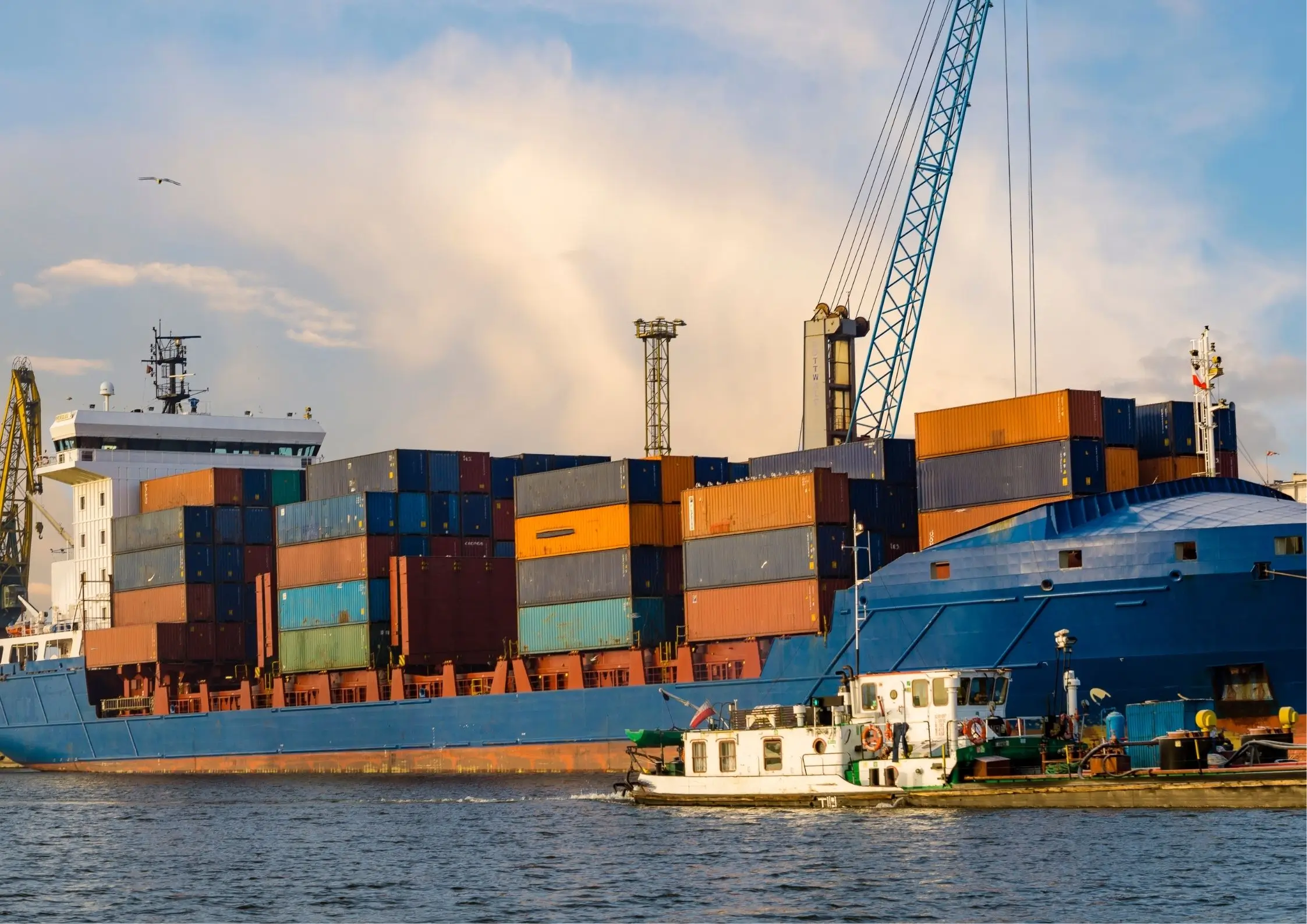 Ngành vận tải biển xáo trộn vì Mỹ áp phí cảng mới với tàu Trung Quốc