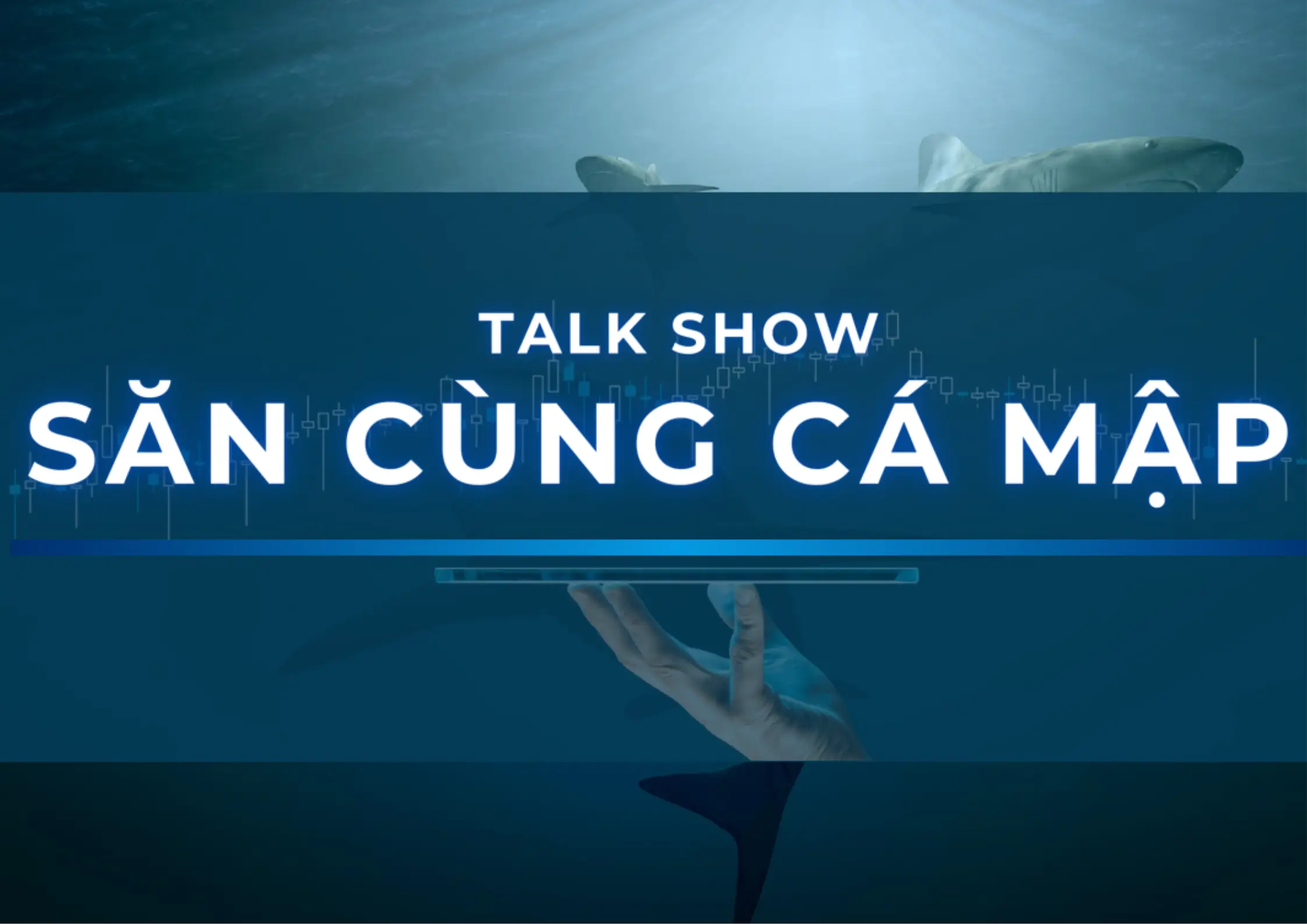 SĂN CÙNG CÁ MẬP – TALKSHOW ĐẦU TƯ ĐÁNG CHỜ ĐỢI NHẤT THÁNG 9.2025