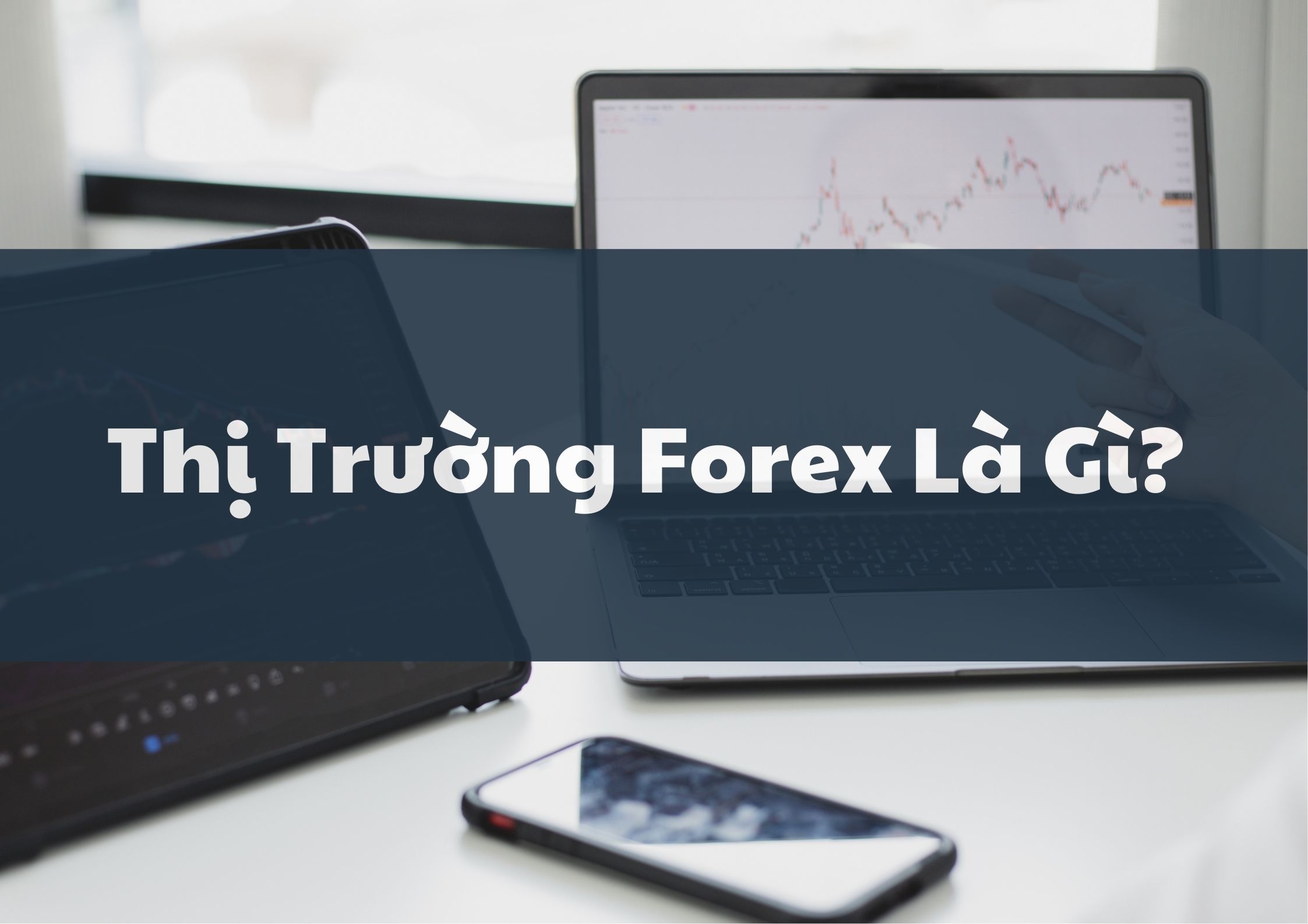 thi-truong-forex-la-gi-tat-tan-tat-ve-dau-tu-ngoai-hoi-cho-nguoi-moi-bat-dau