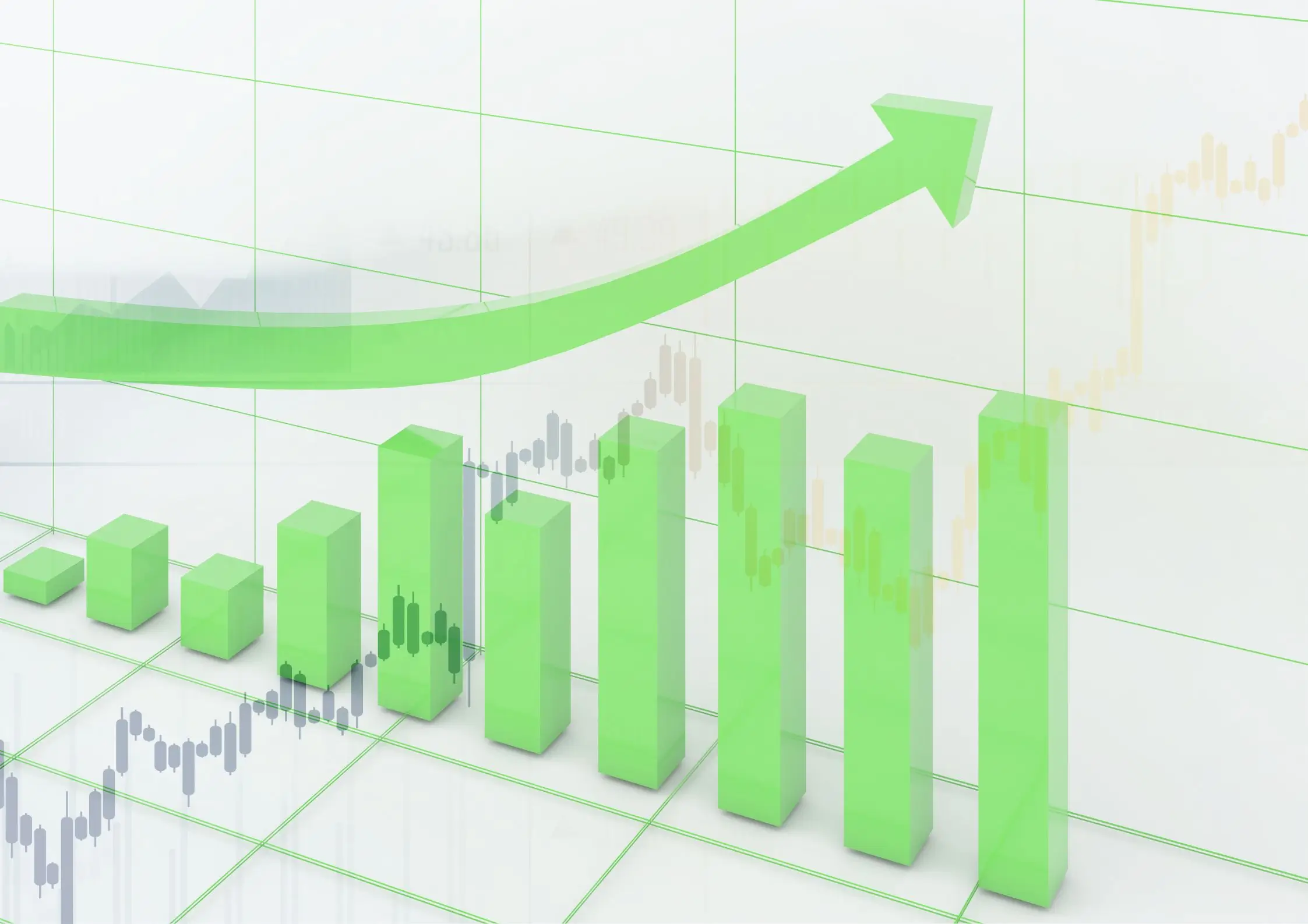 Vietnam Stock Market Rallies on August 6: Banking, Steel and Energy Sectors Take the Lead