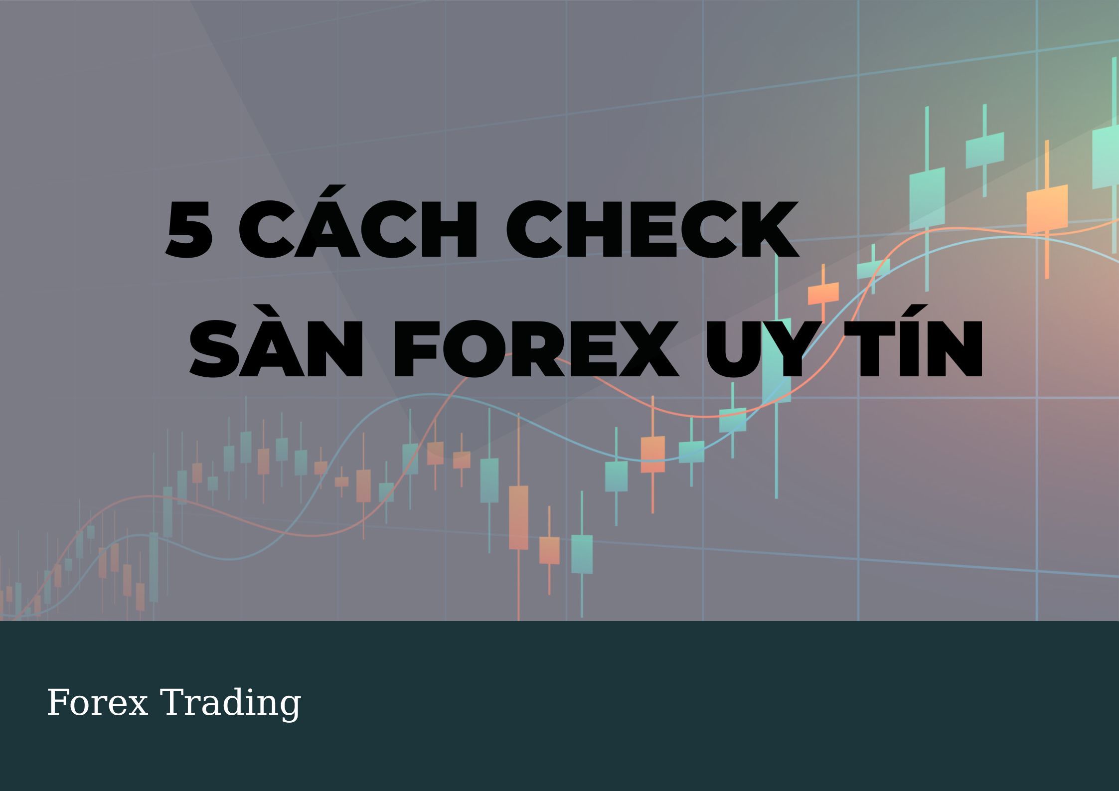 tinh-tao-truoc-khi-giao-dich-5-cach-check-san-forex-uy-tin