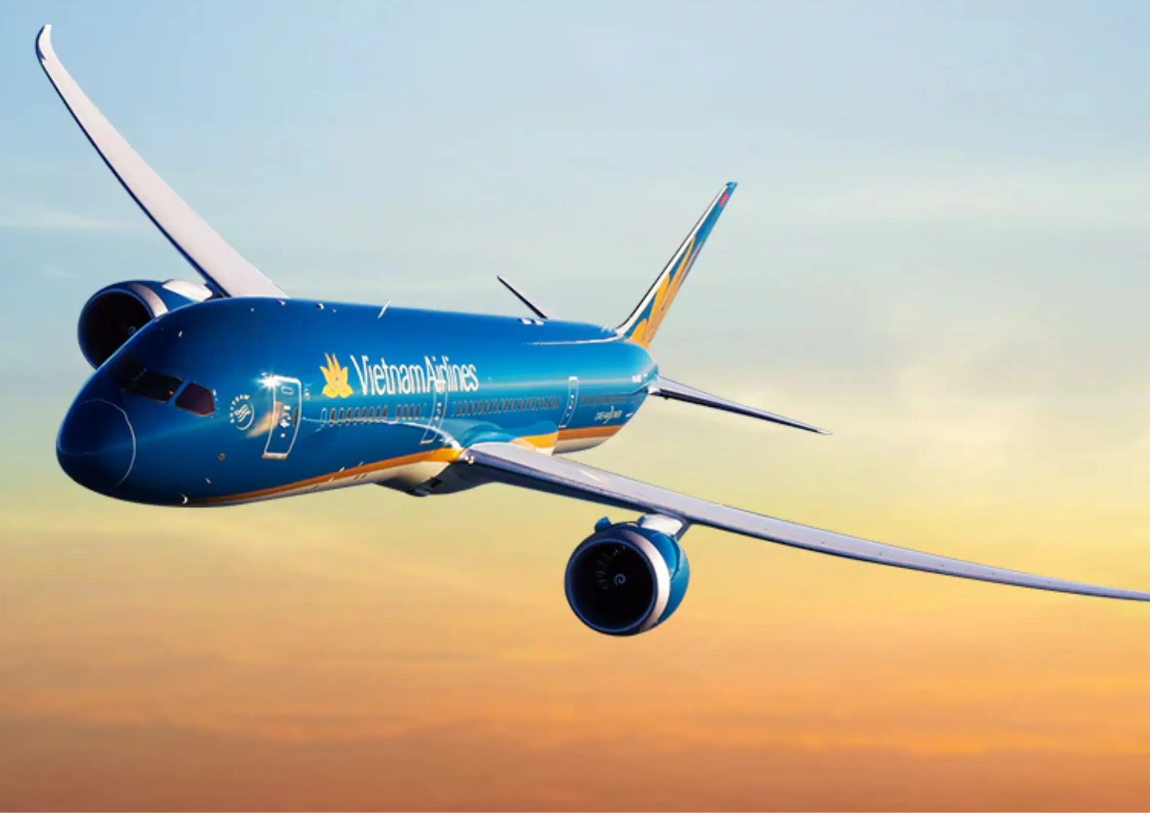 Vietnam Airlines Launches In-Flight Wi-Fi Service: Enhancing Connectivity, Elevating Competitiveness